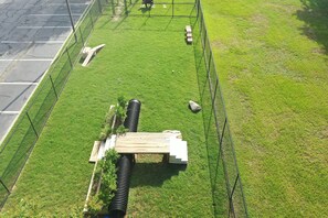 Servicios para mascotas