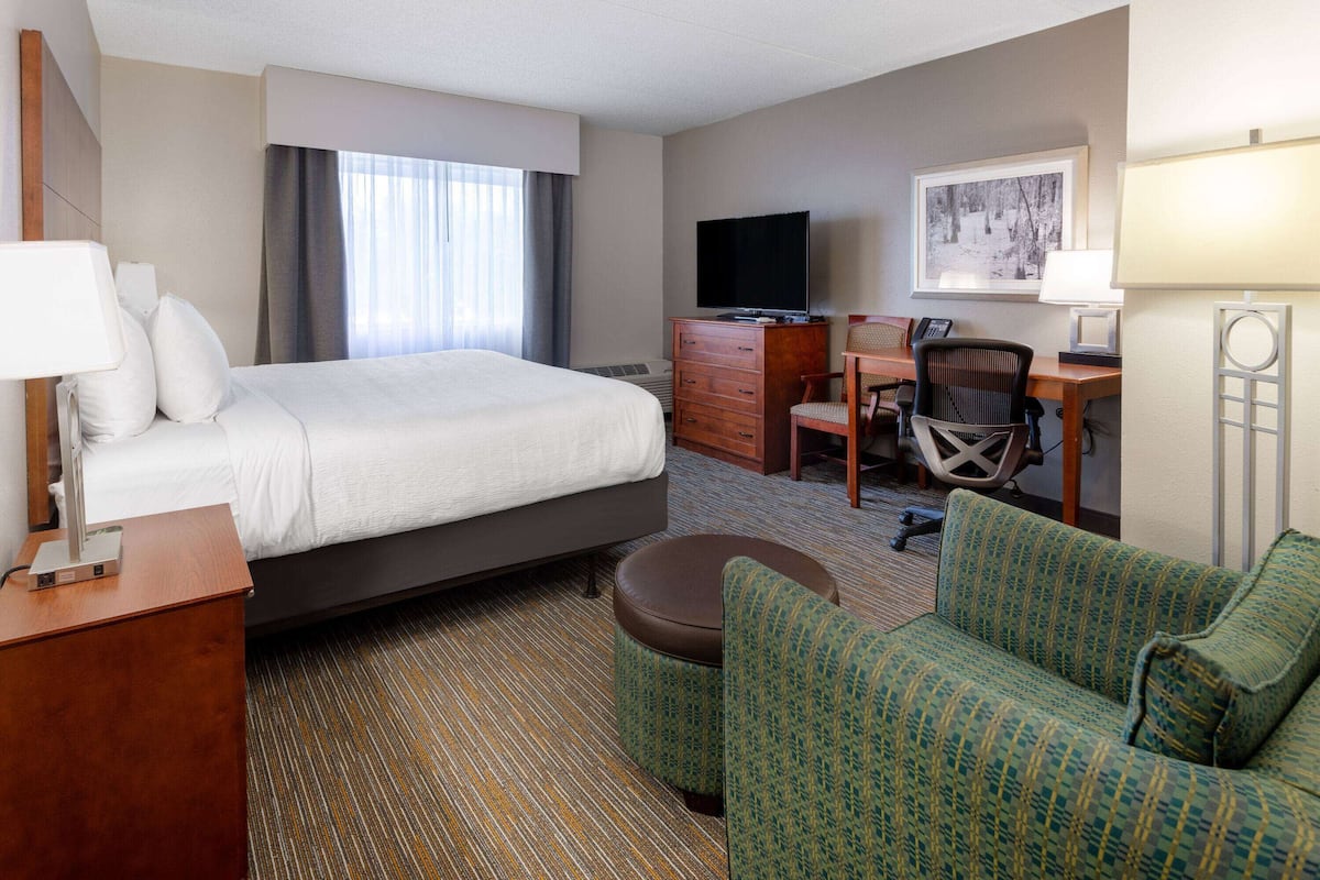 A hotel room with a bed, a desk, a television, a chair, and a sofa.