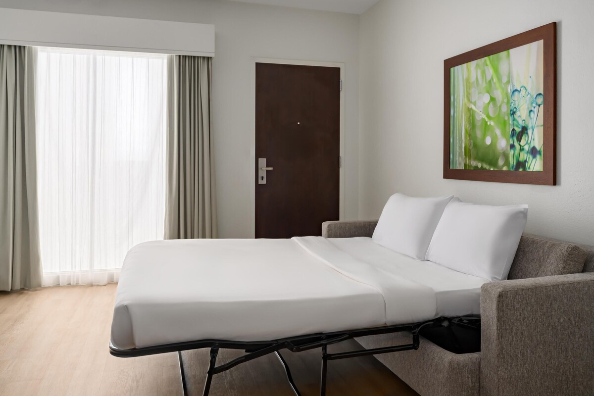 Una habitación de hotel con una cama, un sofá, una puerta y un cuadro en la pared.