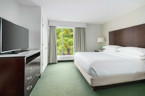 1 bedroom, down duvets, in-room safe, iron/ironing board - Embassy Suites by Hilton Orlando Lake Buena Vista Resort (Orlando)