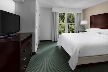 1 bedroom, down comforters, in-room safe, iron/ironing board at Embassy Suites by Hilton Orlando Lake Buena Vista Resort