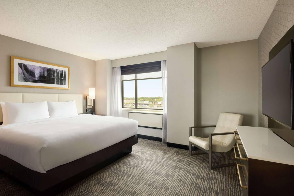 A hotel room with a large bed, a desk, a chair, a TV, a window with a view, and a framed picture on the wall.