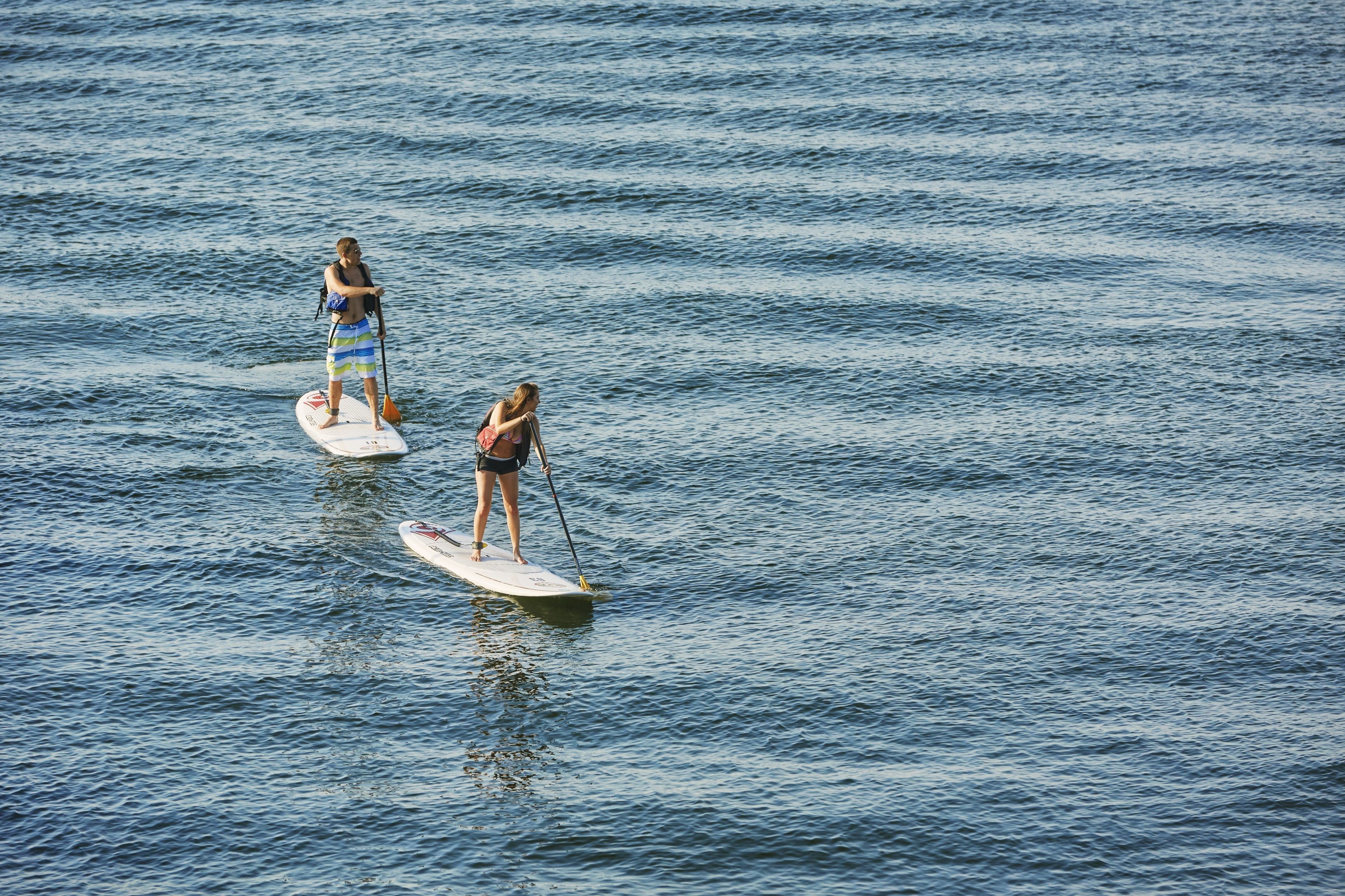 Foto - Graduate by Hilton Madison