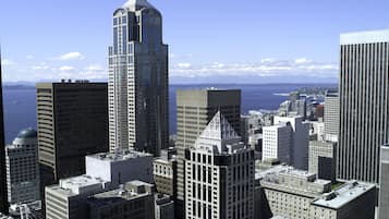 City view from property