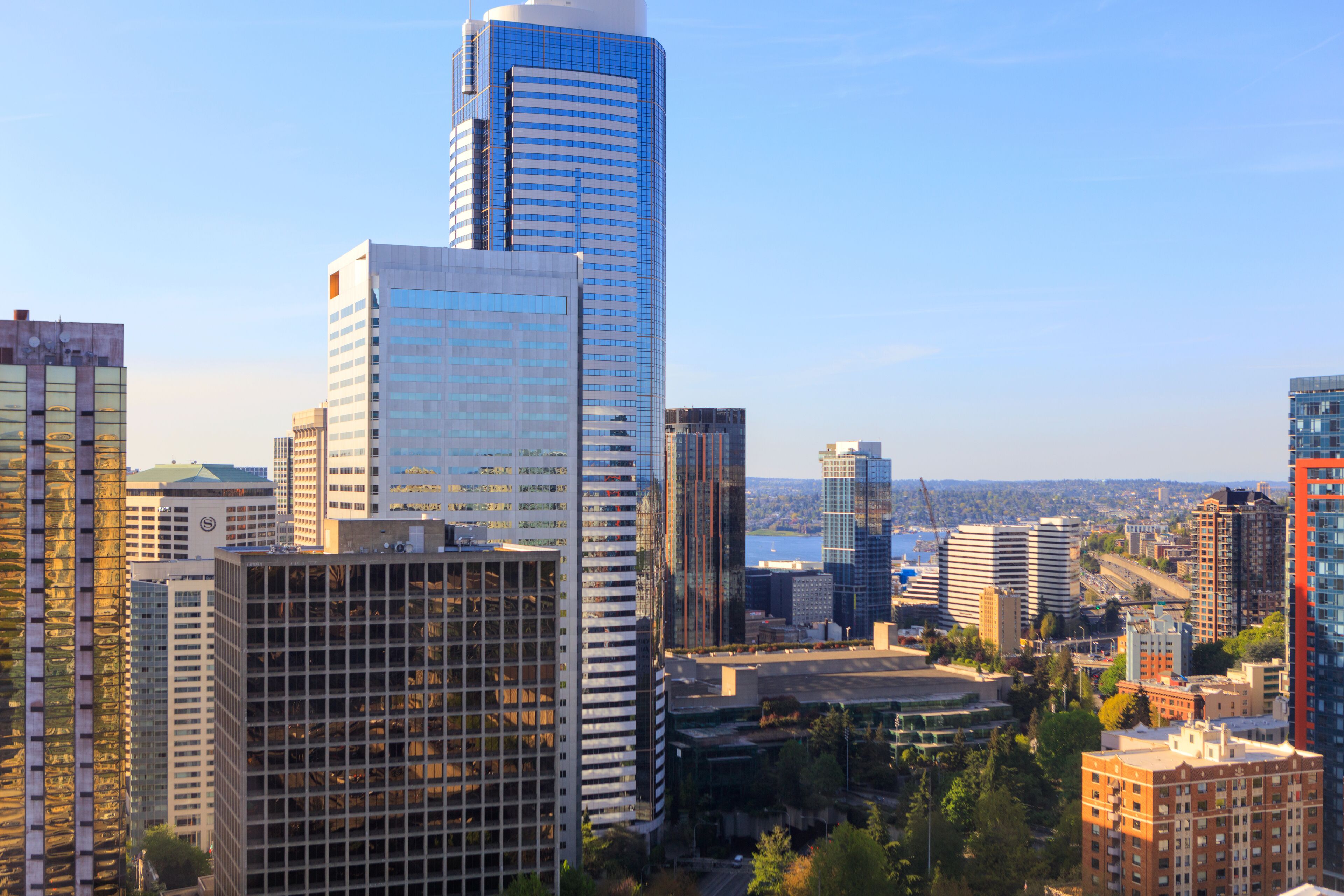 city room, 1 king bed, non smoking, city view | city view