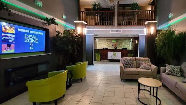 Un hall con una televisión mostrando una programación, una mesa de recepción y zonas de estar con sillas amarillas y un sofá.