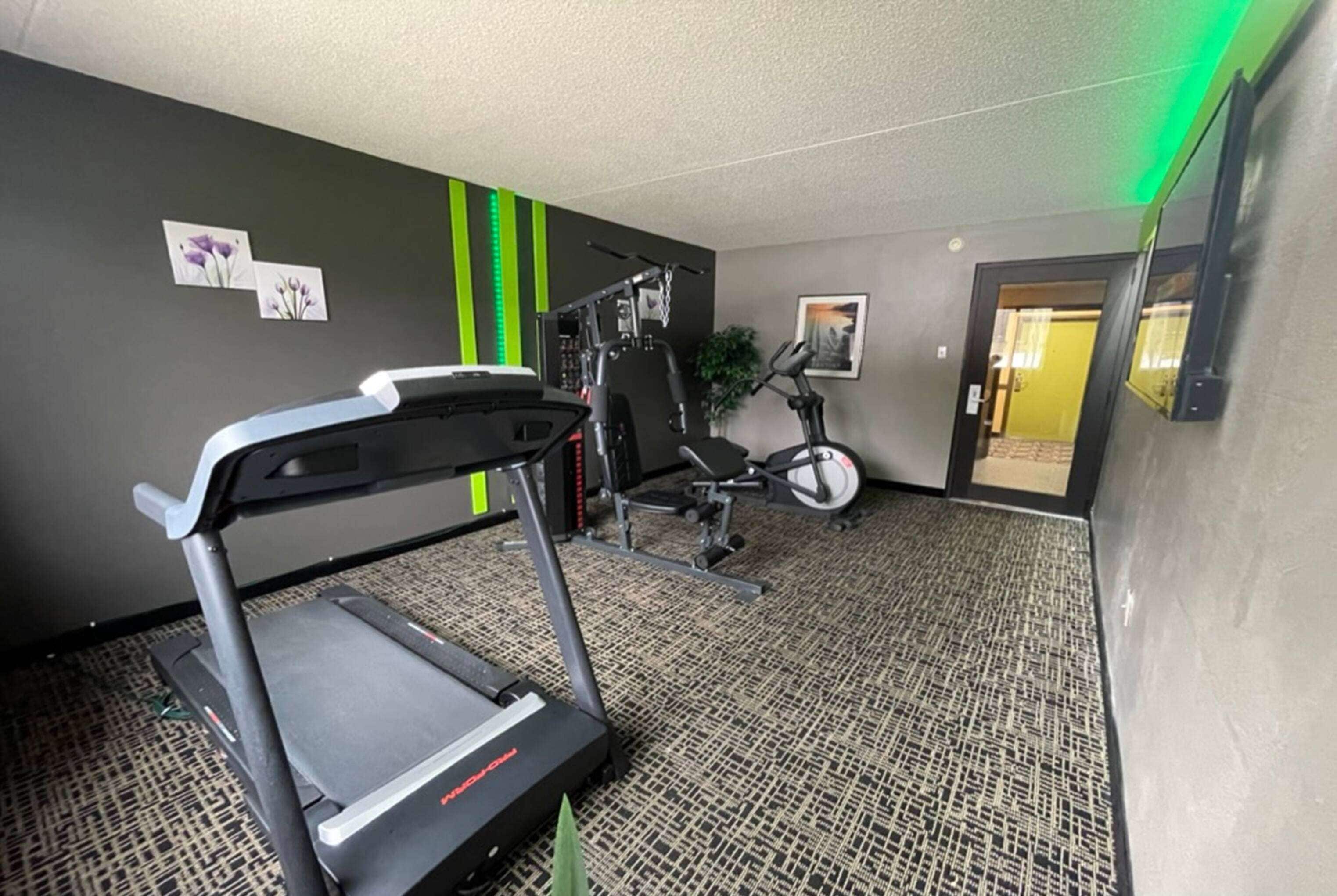 A gym with a treadmill, elliptical, and weight machines.