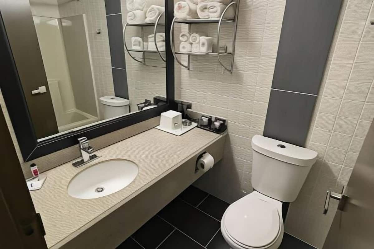 Bathroom | Combined shower/tub, free toiletries, hair dryer, towels