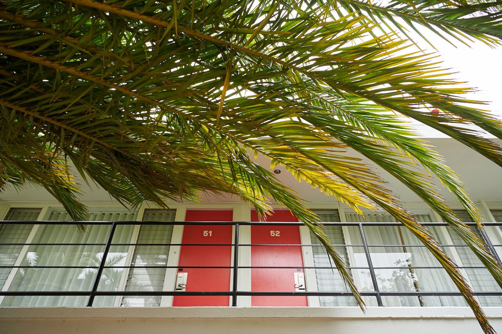 Foto - Phoenix Hotel