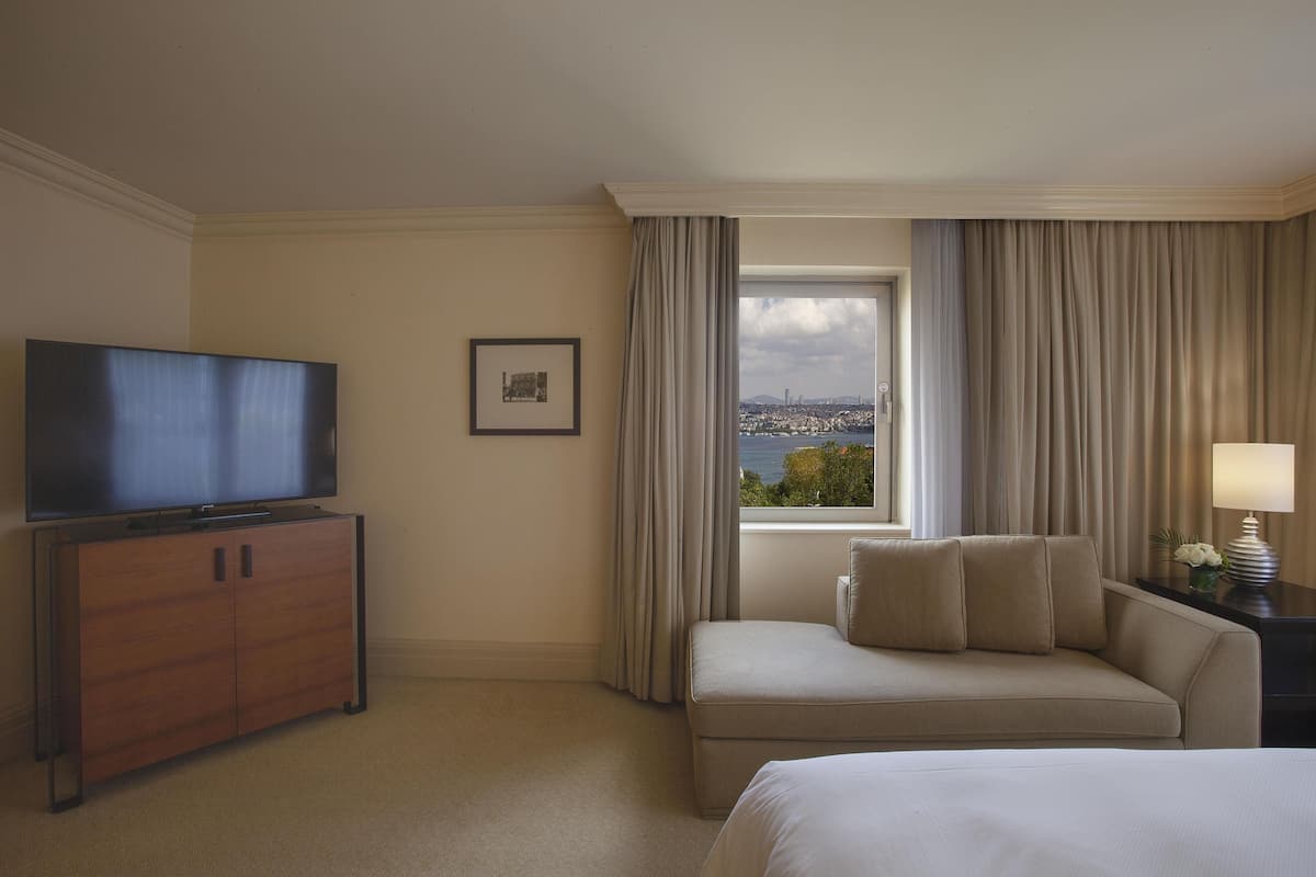 Grand Suite, 1 King Bed (Bosphorus View) | View from room
