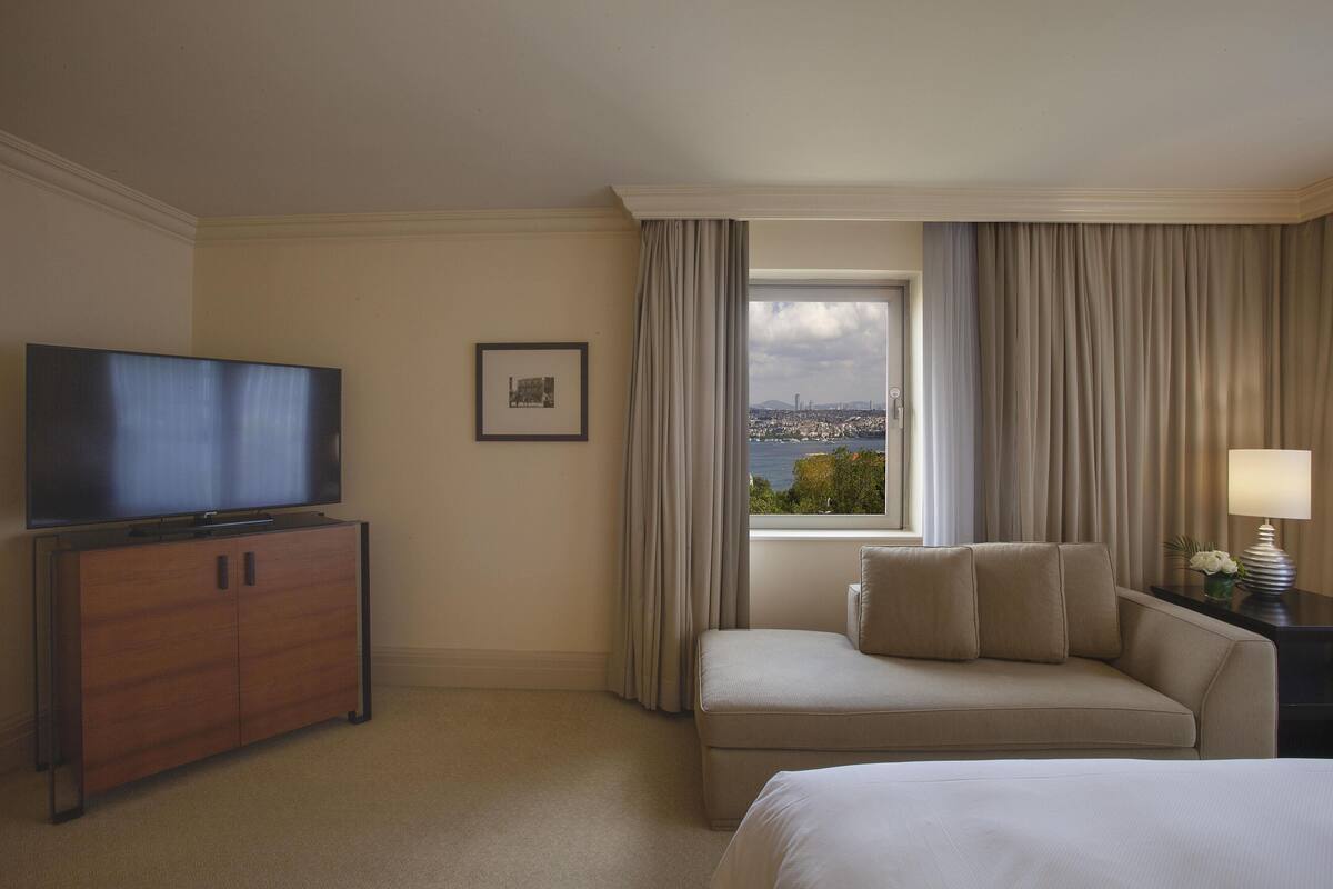 Grand Suite, 1 King Bed (Bosphorus View) | View from room