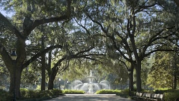 A park with a central fountain, surrounded by large trees with hanging moss, and benches along the pathway.