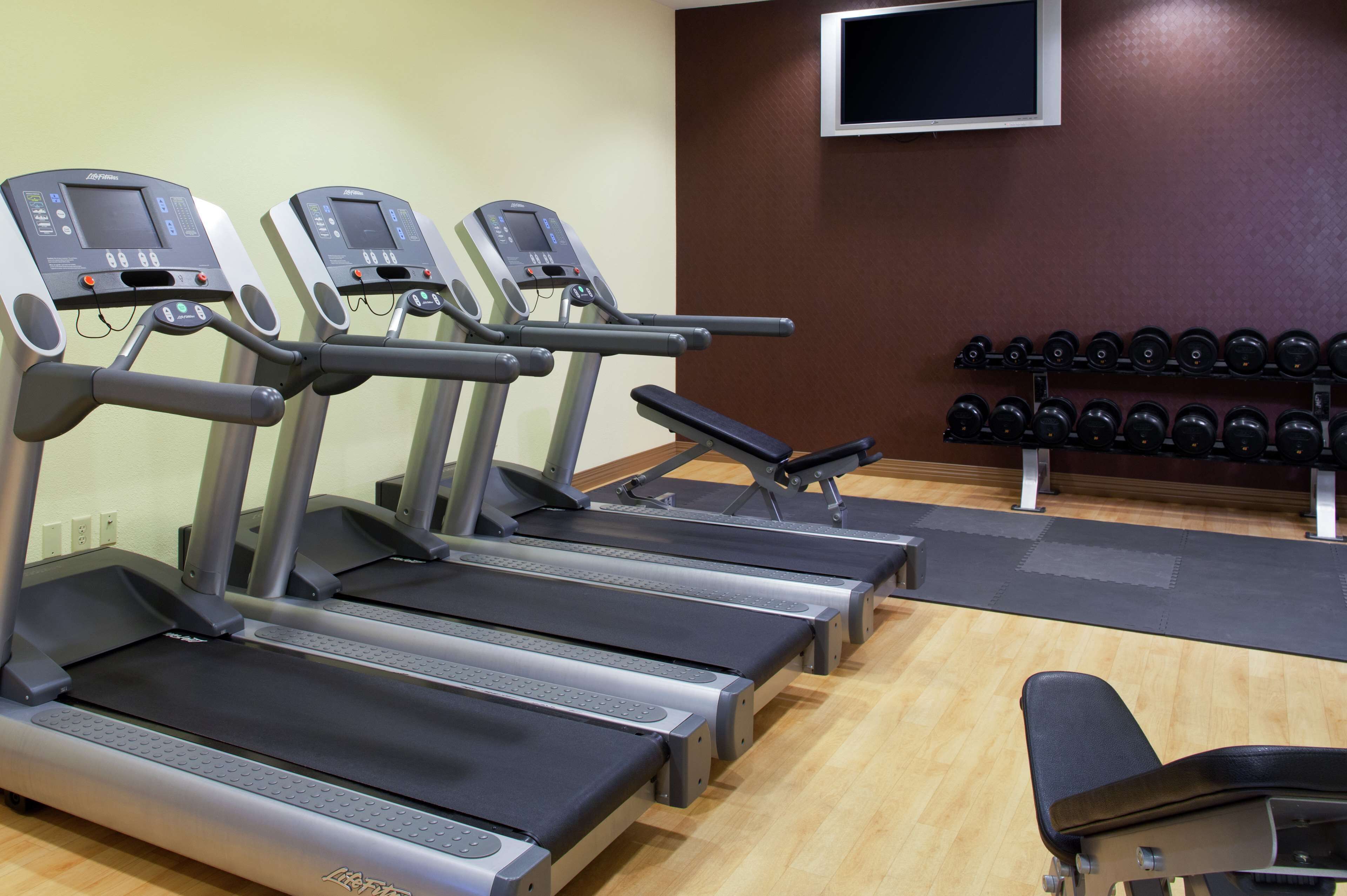 Un gimnasio con cintas de correr, una banca y un estante con mancuernas.