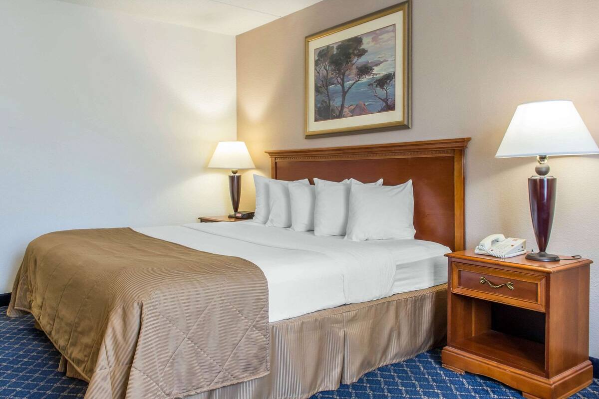 A hotel room with a large bed, two bedside tables, a nightstand, a painting on the wall, and a blue carpet.