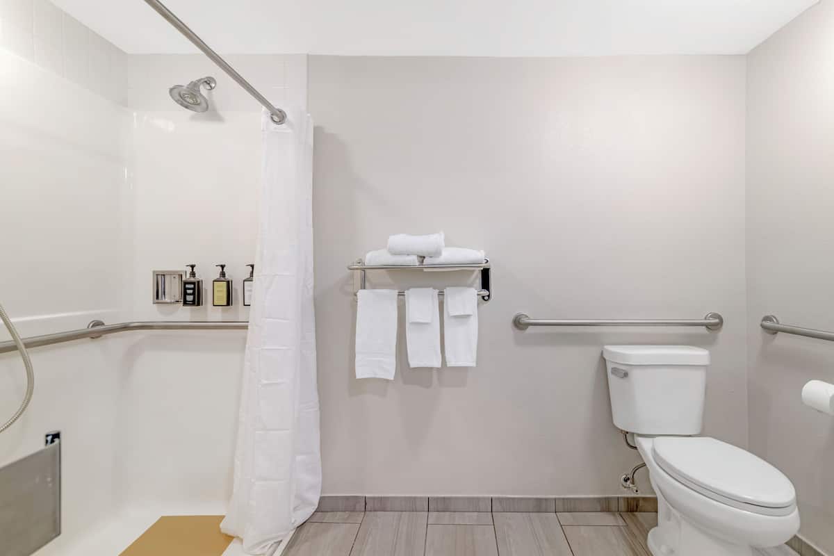 Room, 1 King Bed, Roll-in Shower, Non Smoking | Bathroom