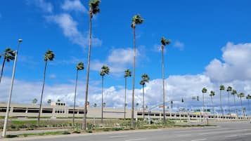 A street with tall palm trees and a building with a sign welcoming visitors to John Wayne Airport.