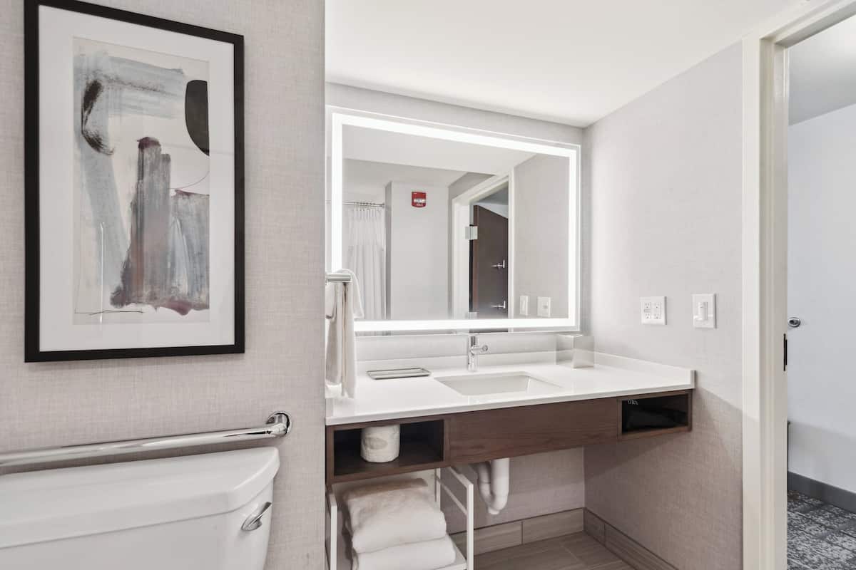 Standard Room, 1 King Bed, Roll-in Shower (Communications Accessible) | In-room safe, desk, iron/ironing board, free WiFi