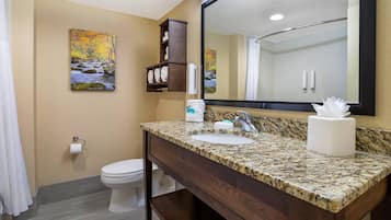 Een badkamer met een granieten aanrecht, een wastafel, een spiegel, een toilet en een schilderij aan de muur.