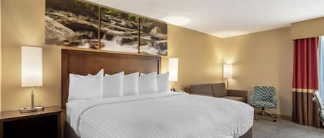 Room, 1 King Bed, Non Smoking