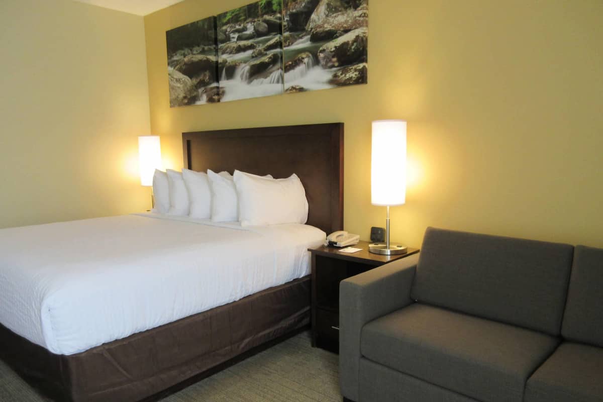 Room, 1 King Bed, Non Smoking | Premium bedding, pillowtop beds, in-room safe, desk