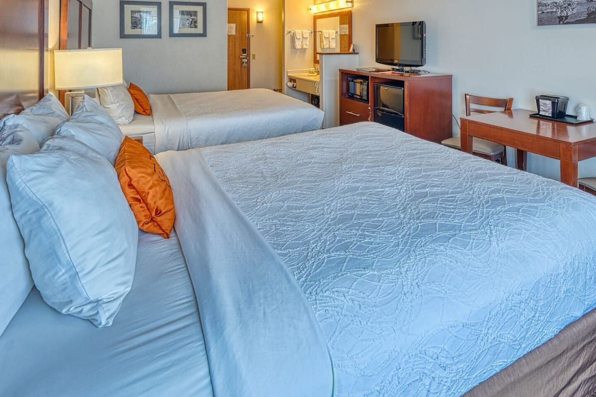 standard double room | 1 bedroom, in-room safe, laptop workspace, blackout curtains