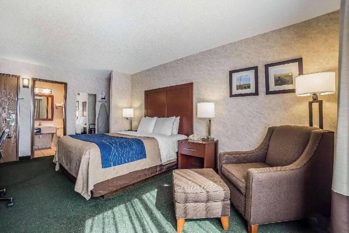 A hotel room with a bed, a chair, a nightstand, a lamp, and a picture on the wall.