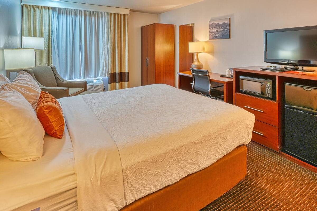 standard single room | 1 bedroom, in-room safe, laptop workspace, blackout curtains