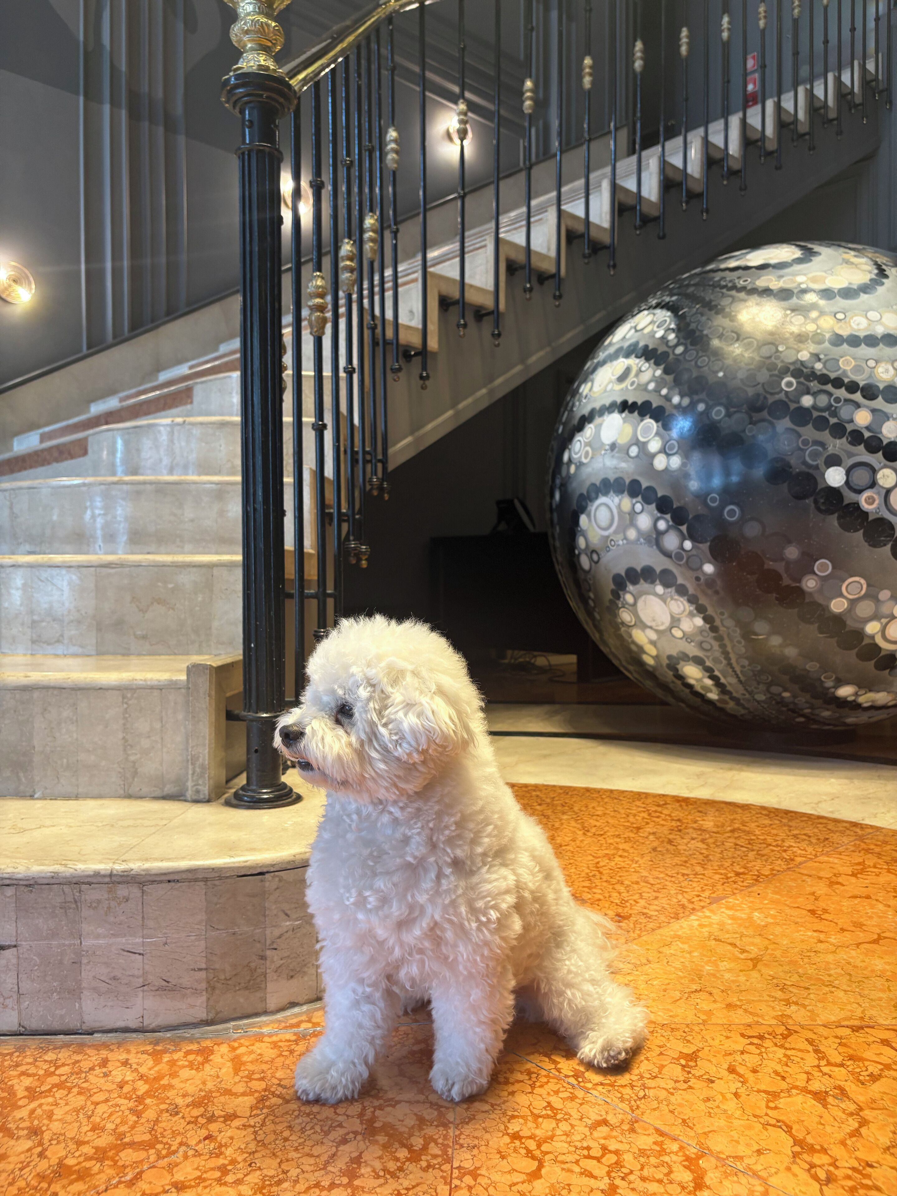 Un perro blanco pequeño sentado sobre un piso estampado cerca de una escalera con barandilla de metal decorativa.