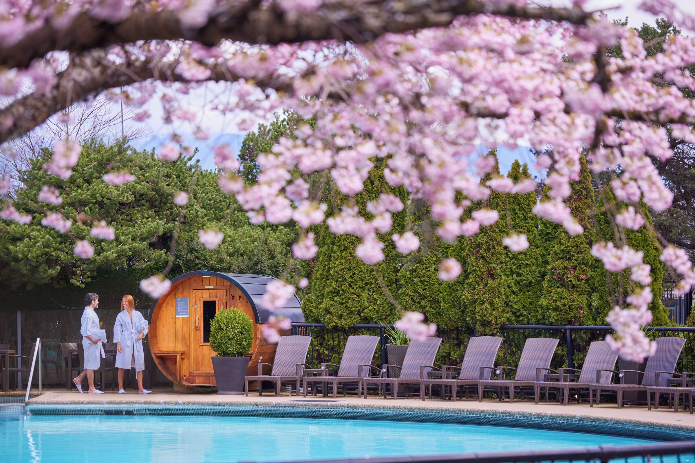 A pool area with lounge chairs, a wooden cabin, and a backdrop of trees and cherry blossoms.