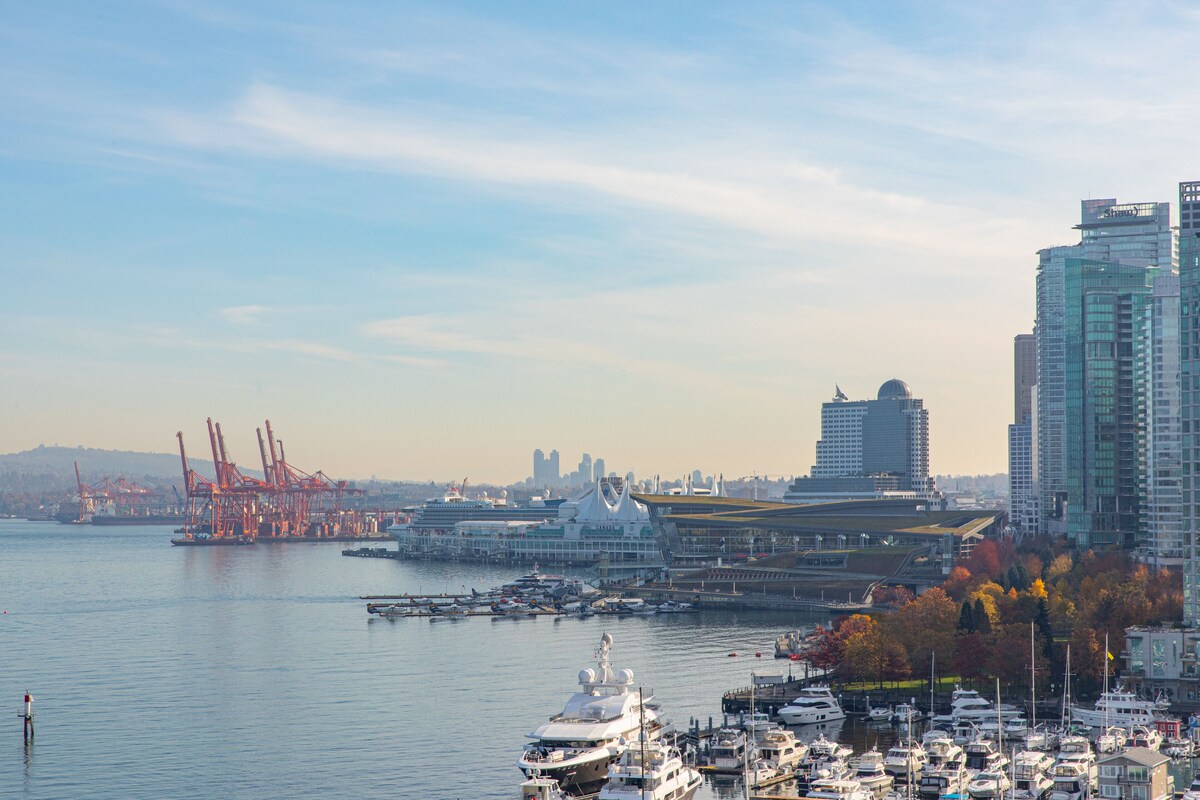 A marina with boats docked, a large cruise ship, and a city skyline in the background.