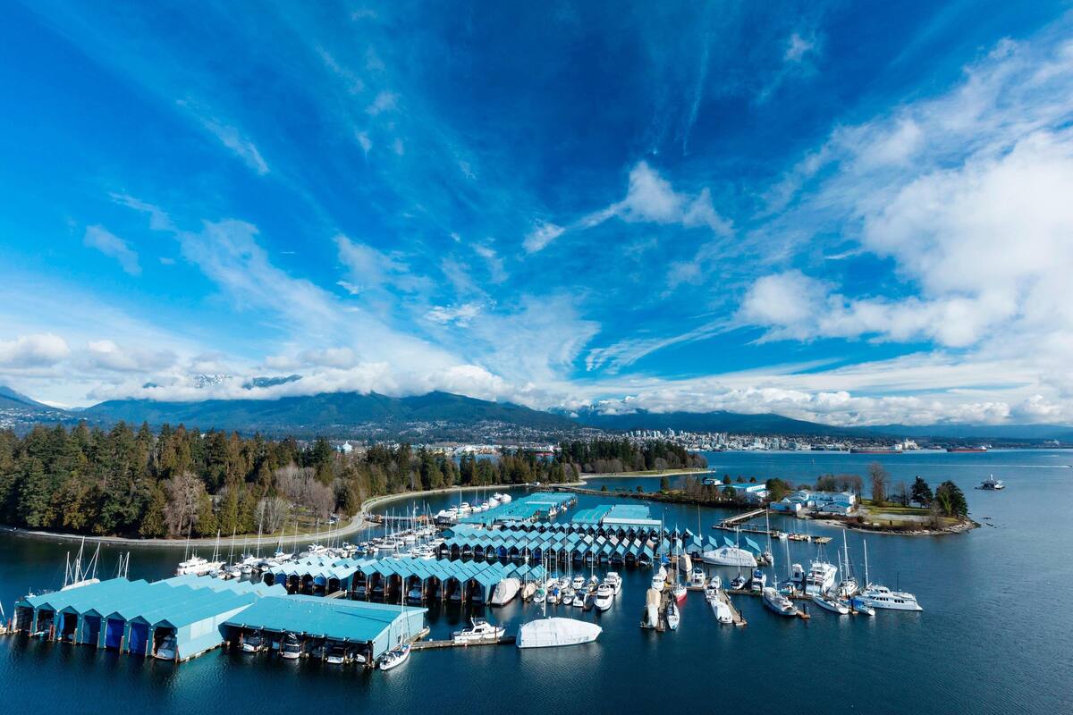 A marina with numerous boats docked, surrounded by water and mountains in the background.