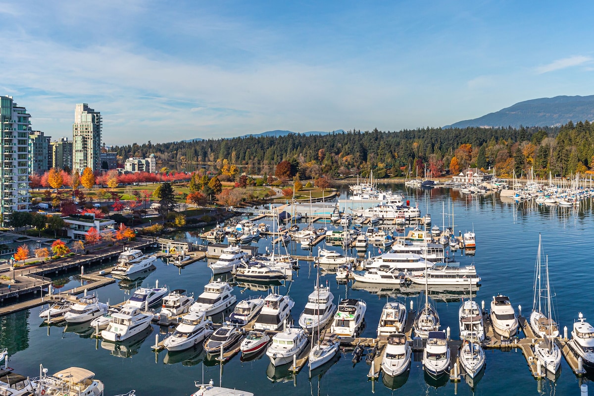 Uma marina com vários barcos atracados, cercada por edifícios modernos e uma encosta arborizada.