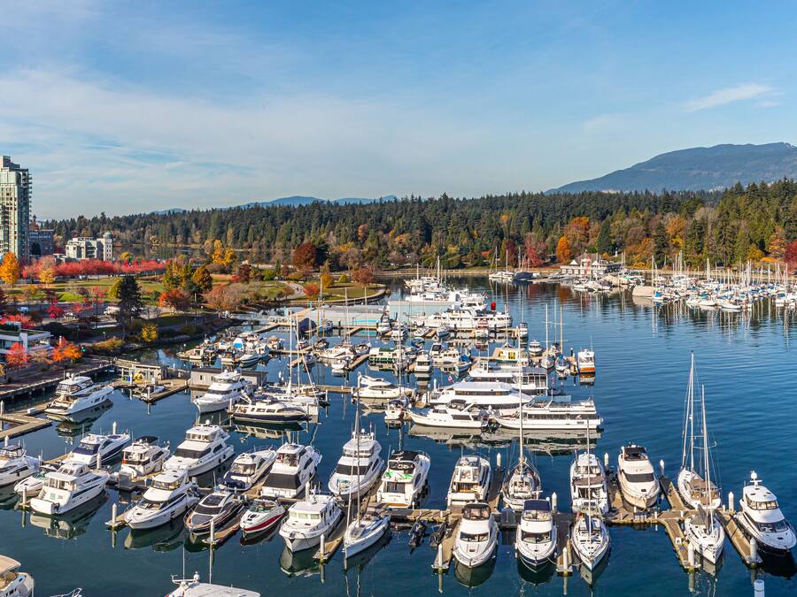 A marina with numerous boats docked, surrounded by modern buildings and a forested hillside.