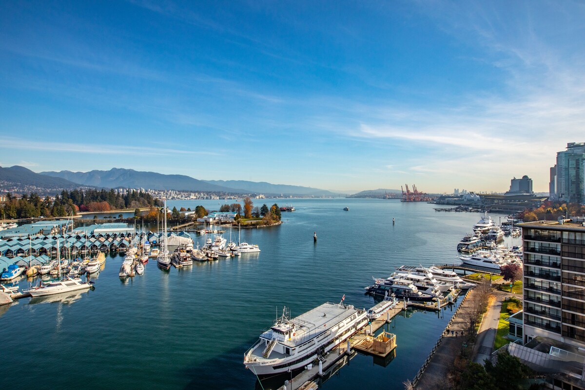 A marina with multiple boats docked, a large cruise ship, and a cityscape in the background.