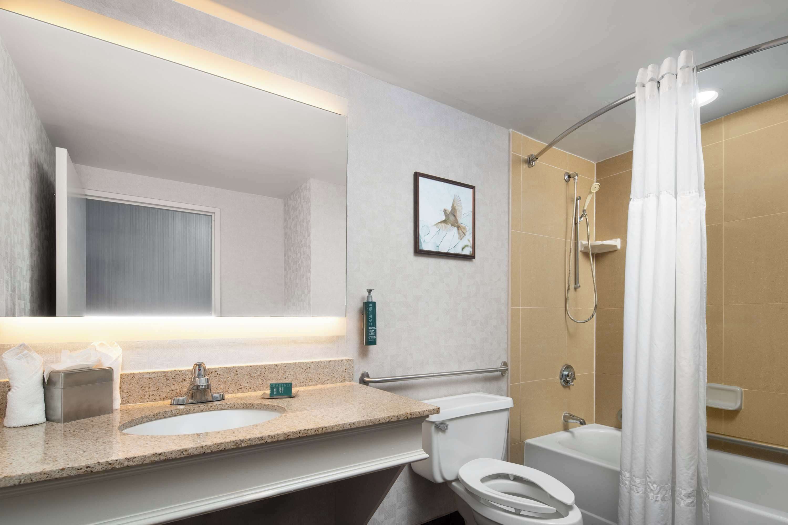 one double bed, non-smoking, accessible | bathroom | combined shower/bathtub, free toiletries, hair dryer, towels