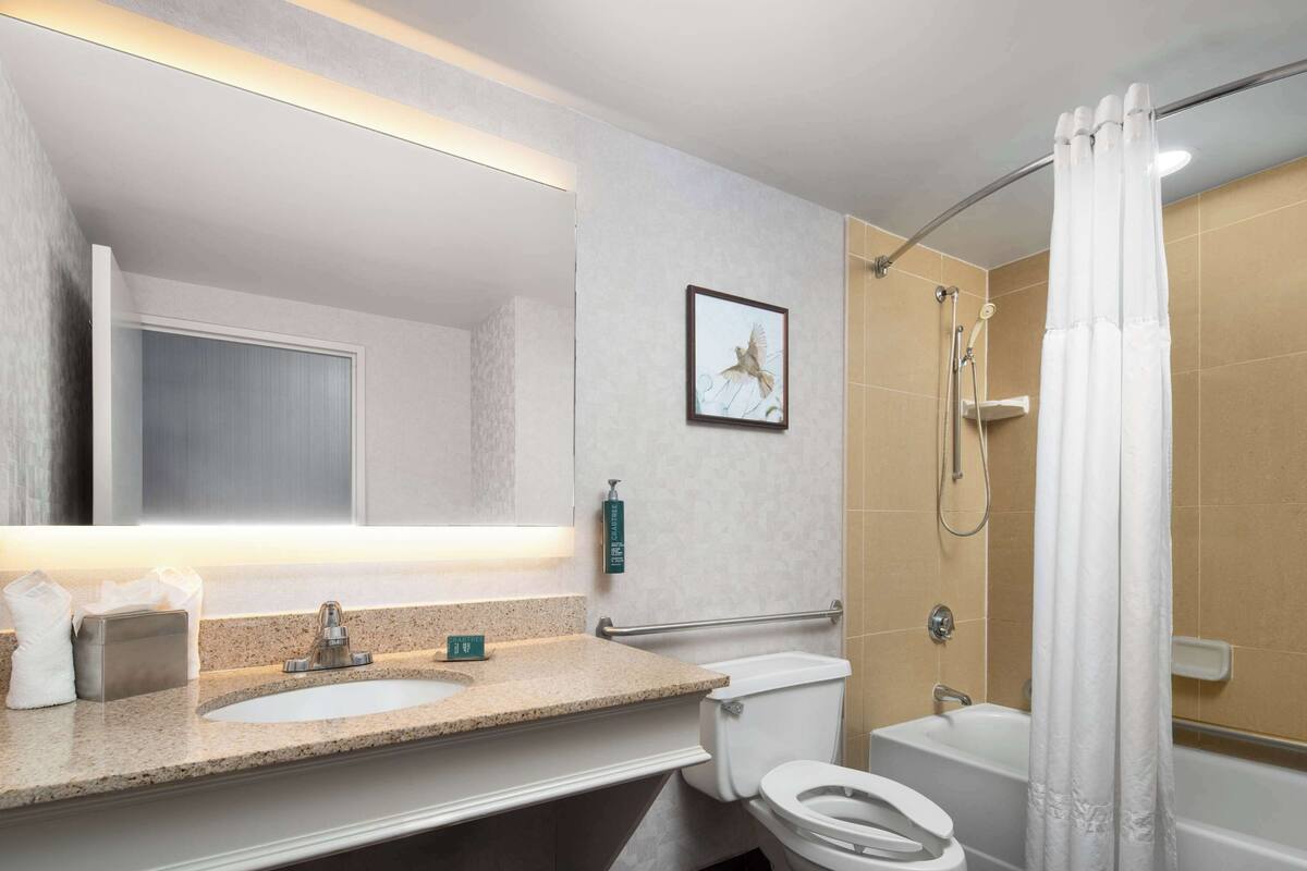 one double bed, non-smoking, accessible | bathroom | combined shower/bathtub, free toiletries, hair dryer, towels