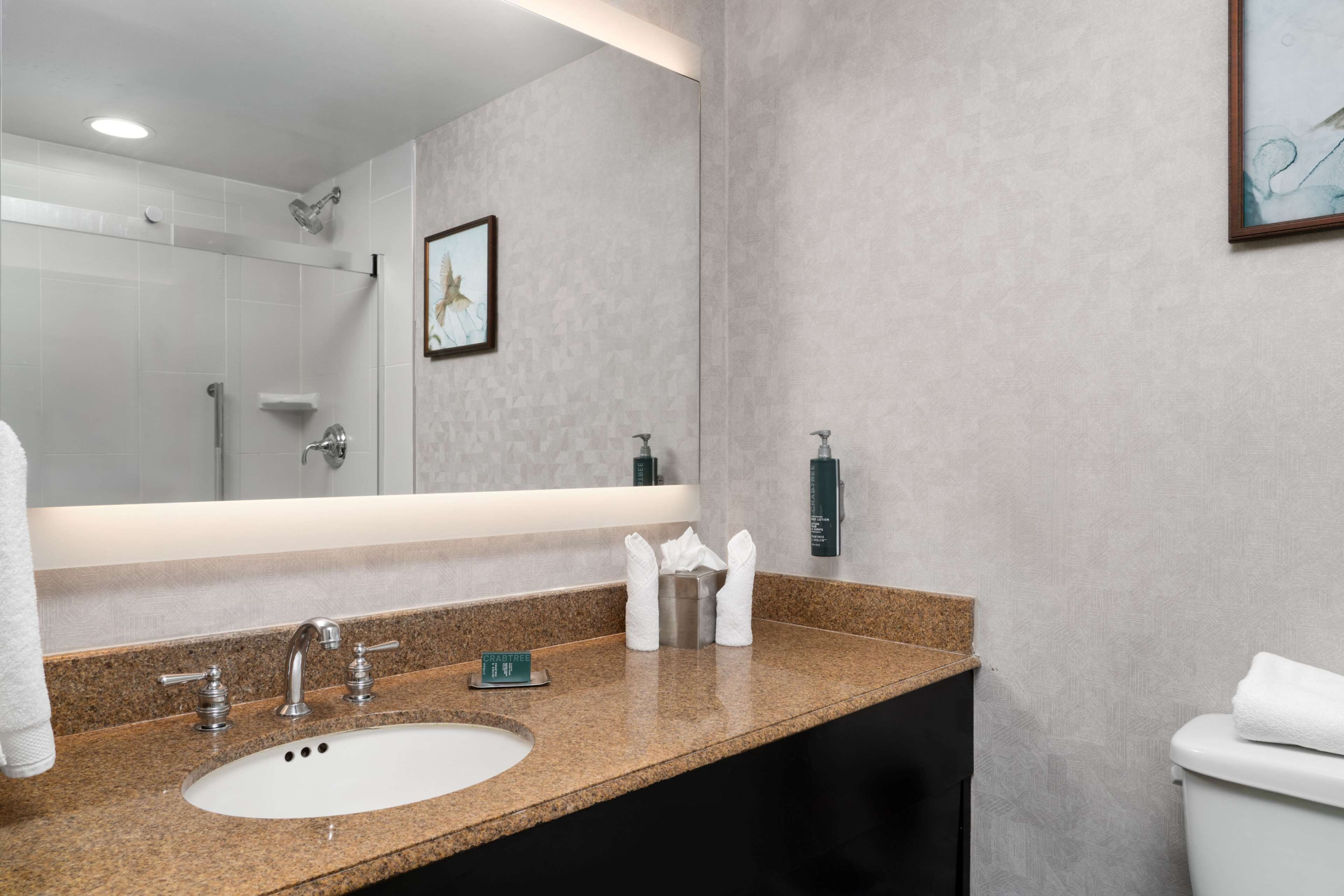 combined shower/bathtub, free toiletries, hair dryer, towels