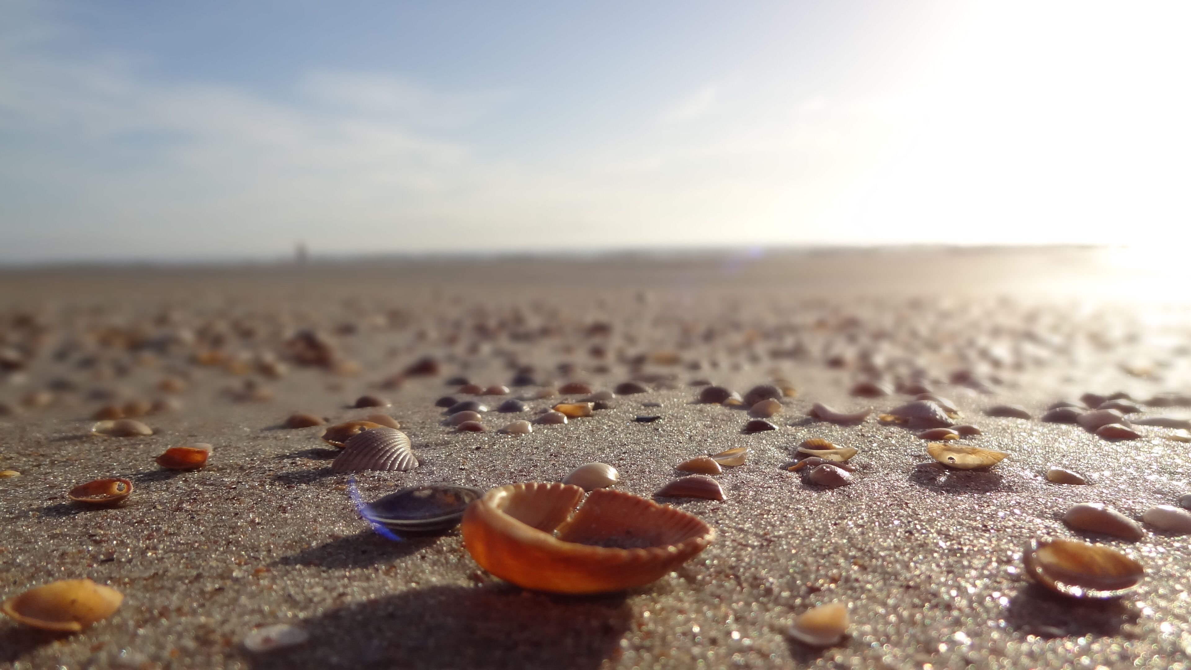 Foto - DoubleTree by Hilton St. Augustine Historic District