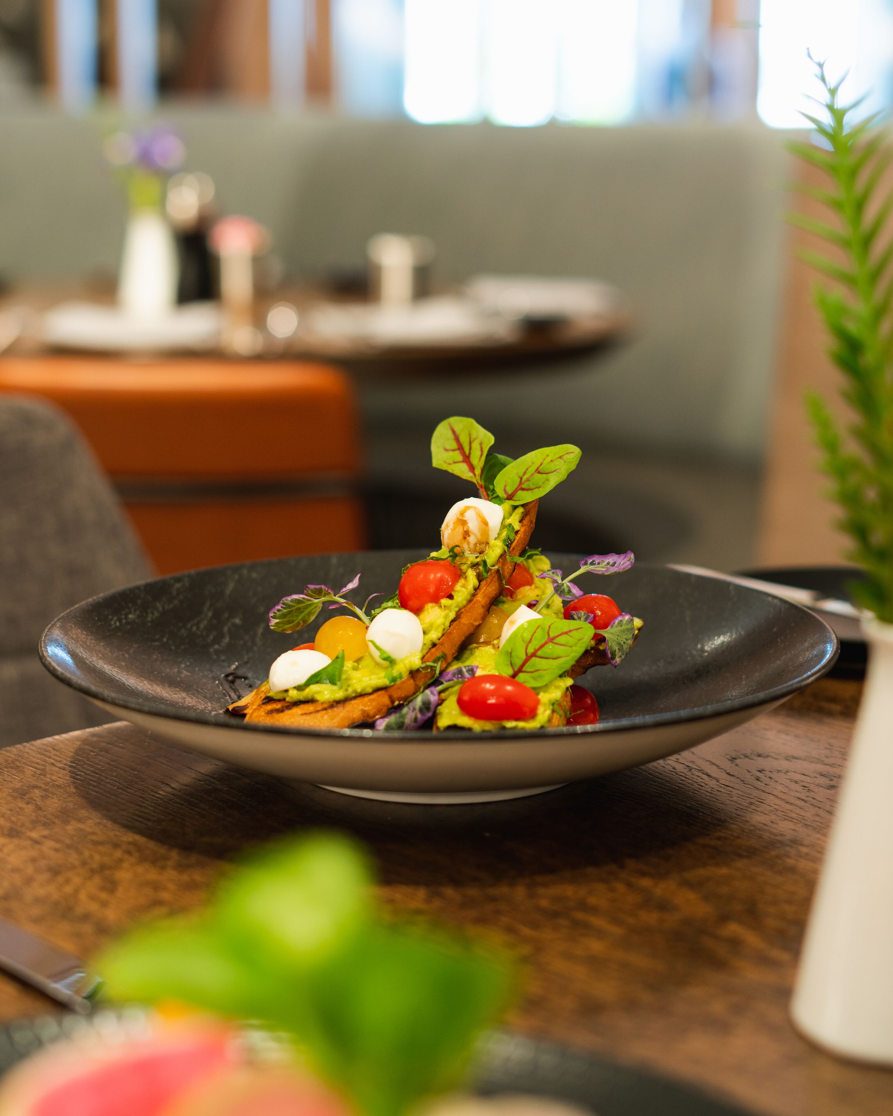 Een eettafel met een bord eten, een plant en een stoel.