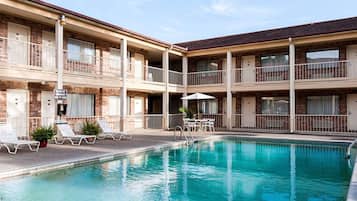 Outdoor pool, pool loungers