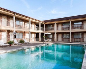 Outdoor pool, sun loungers