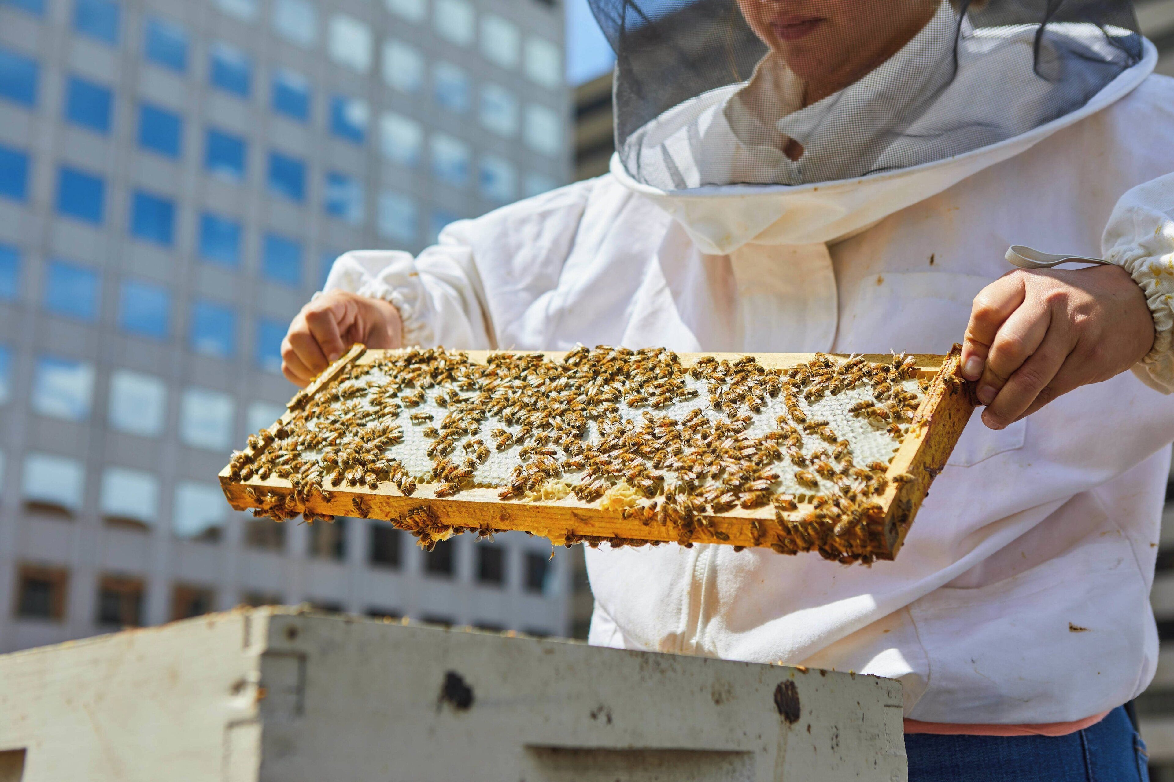 Foto - The Brown Palace Hotel and Spa, Autograph Collection