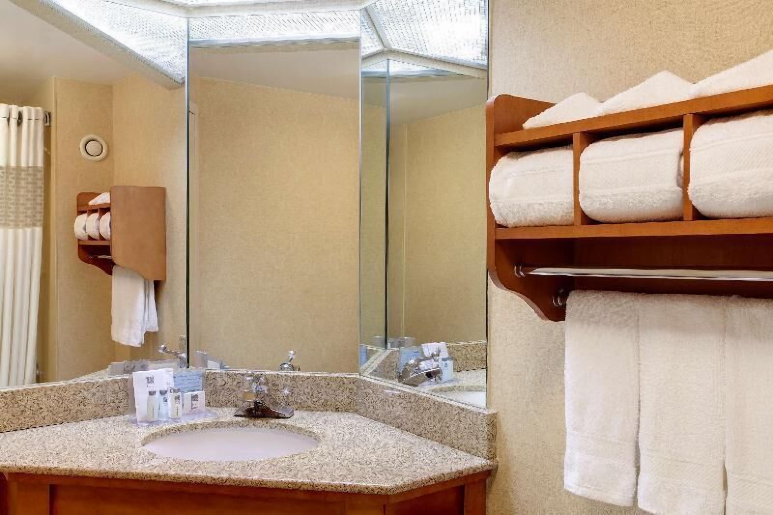 Bathroom | Combined shower/tub, free toiletries, hair dryer, towels