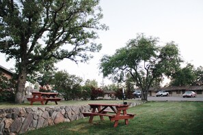 Área de parrilladas y picnic