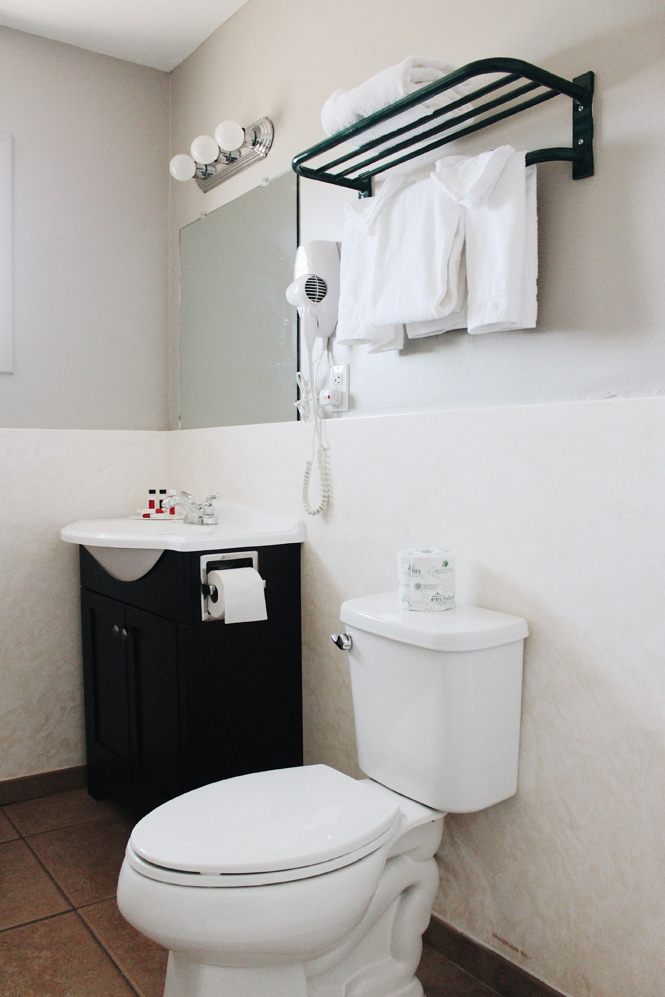 combined shower/bathtub, free toiletries, hair dryer, towels