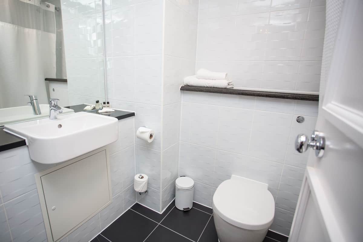 combined shower/bathtub, free toiletries, hair dryer, towels