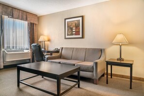 房內夾萬、書桌、遮光窗簾/窗簾、熨斗/熨衫板