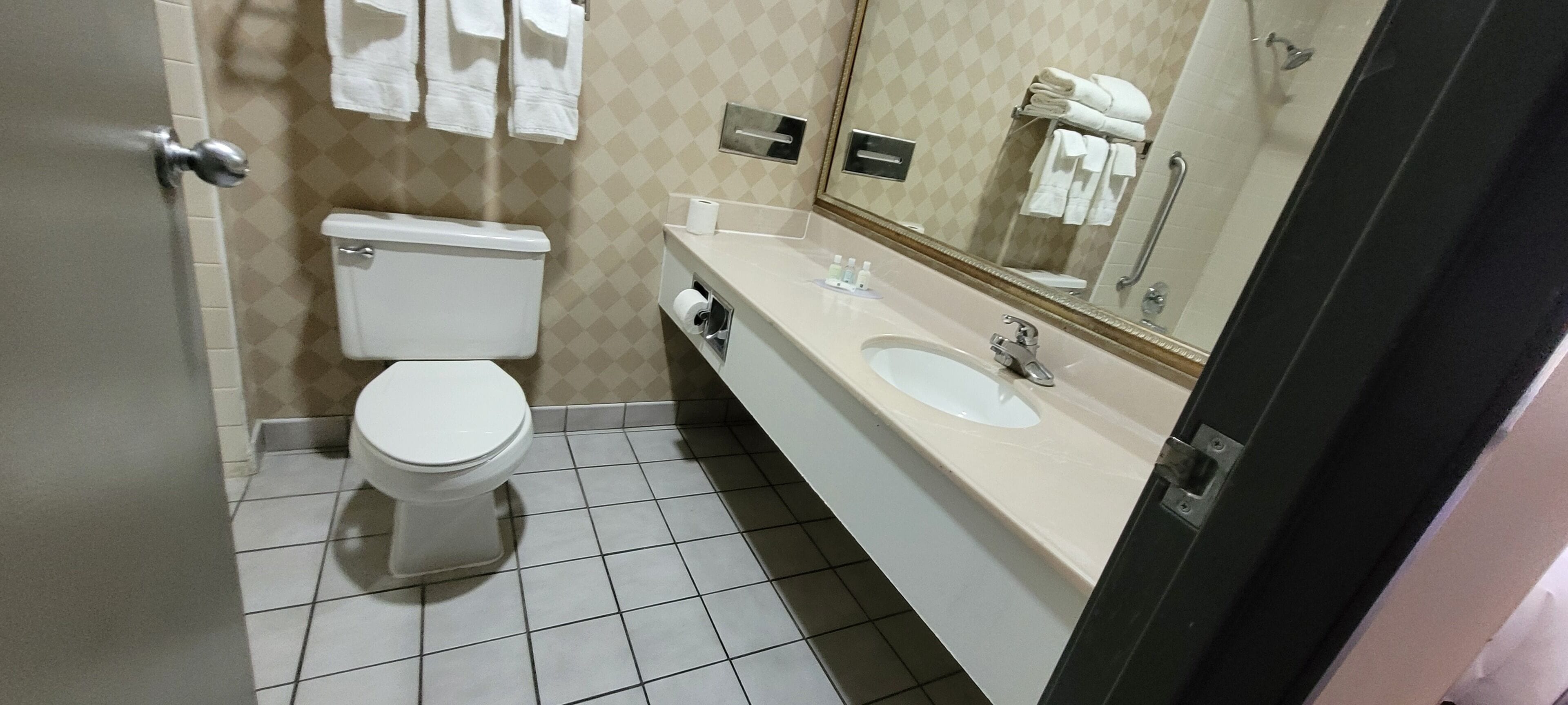 A bathroom with a toilet, sink, and mirror.