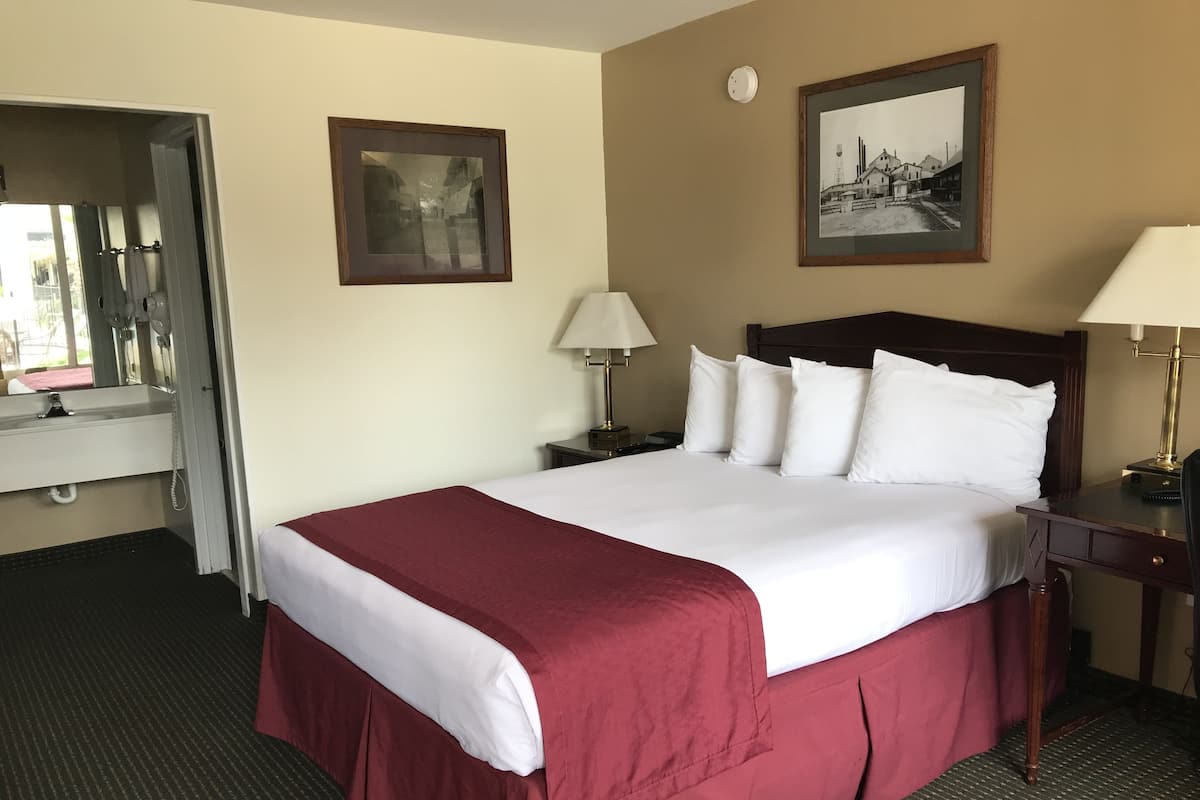 Standard Room, 1 Queen Bed | Premium bedding, pillowtop beds, iron/ironing board