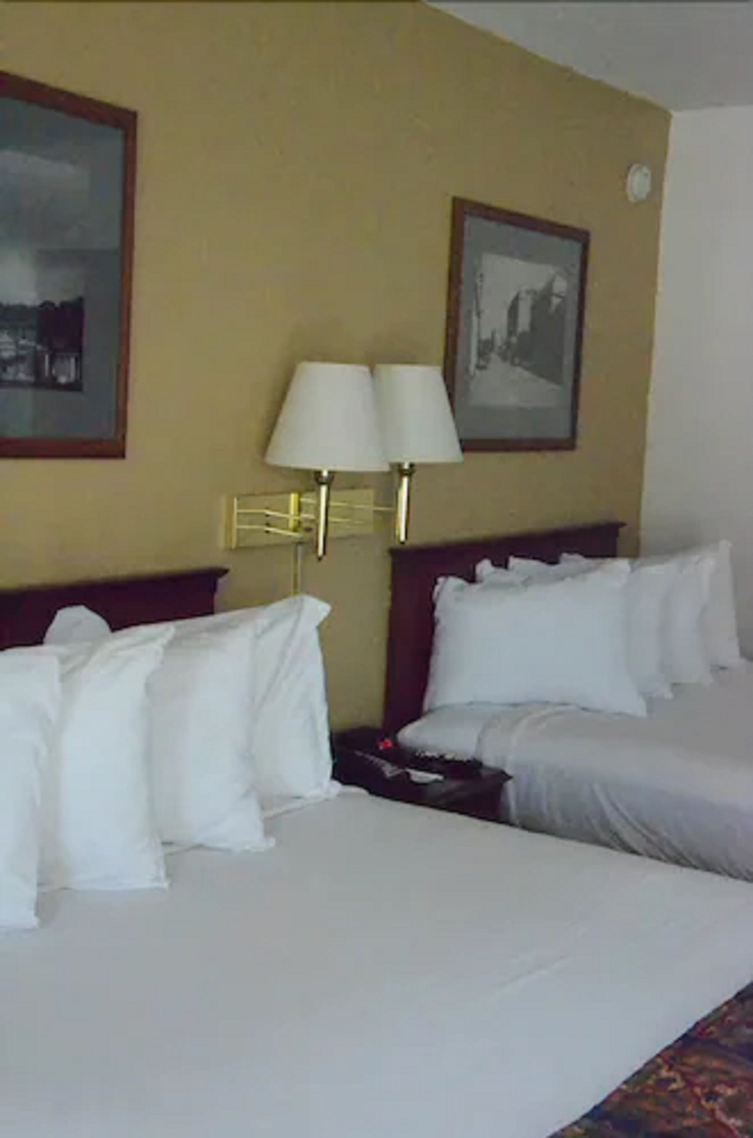 standard room, 2 queen beds | 1 bedroom, premium bedding, pillow-top beds, iron/ironing board